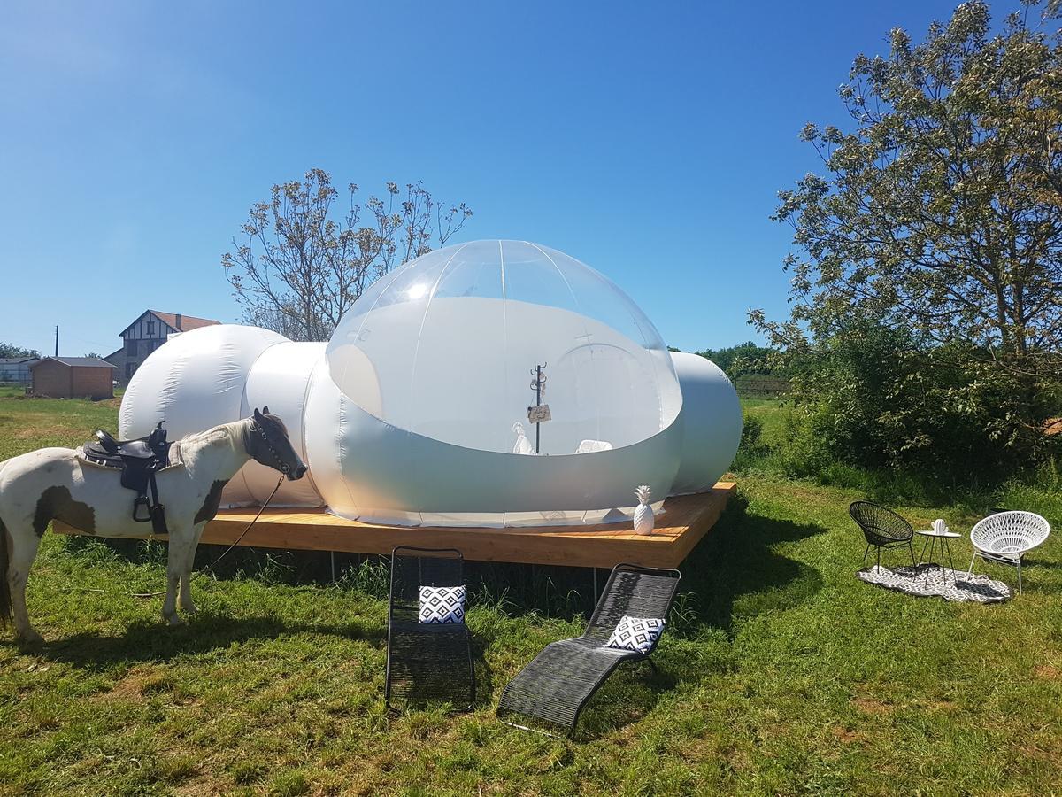 Coachella Guest House Lanouaille Bagian luar foto