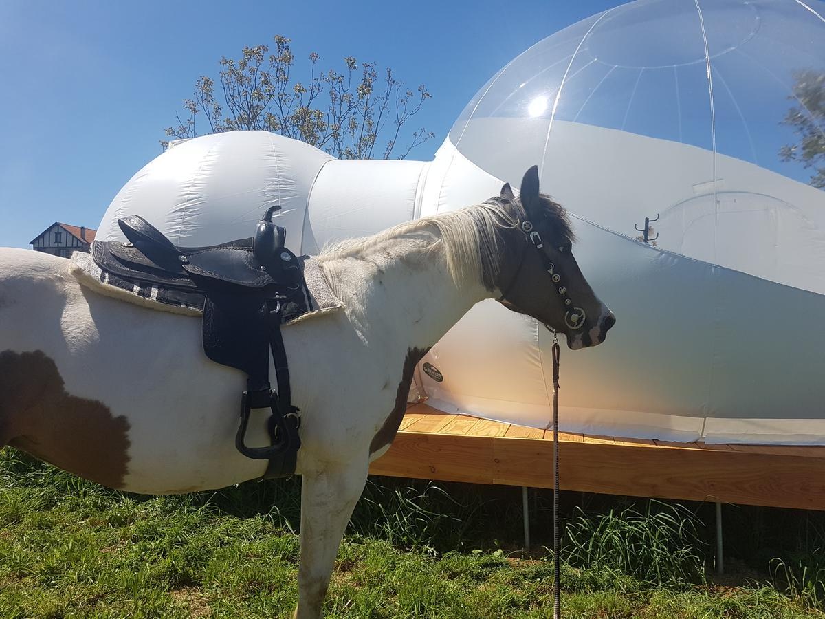Coachella Guest House Lanouaille Bagian luar foto